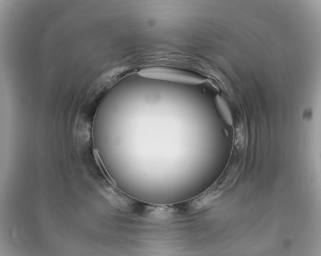 X0000090990621200708091520