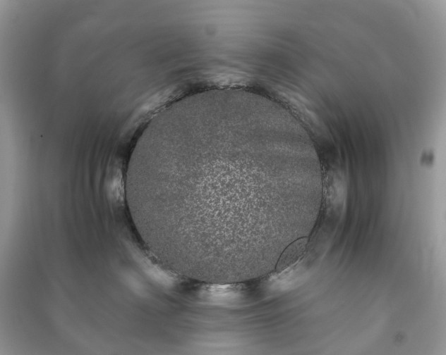 X0000090990622200708091520