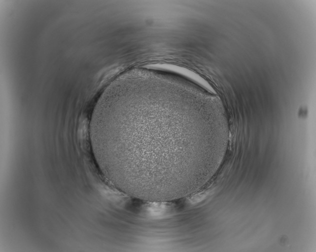 X0000090990623200708091520