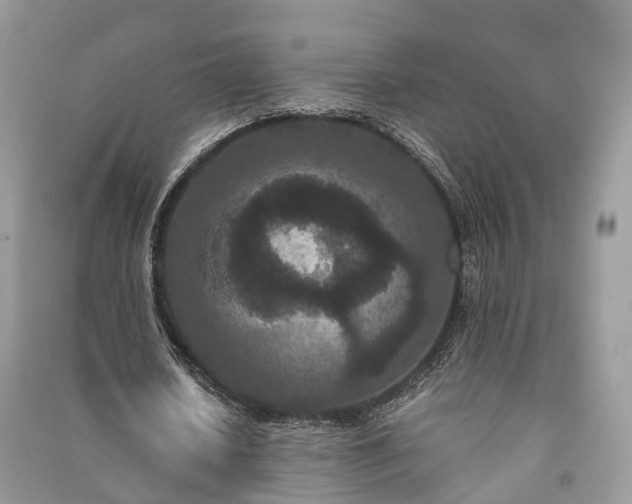 X0000090990626200708091519