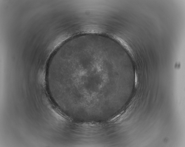 X0000090990627200708091519