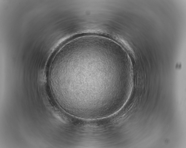 X0000090990628200708091519