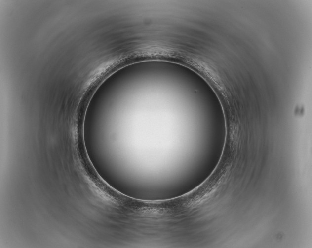 X0000090990629200708091519