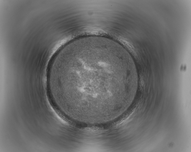 X0000090990630200708091519