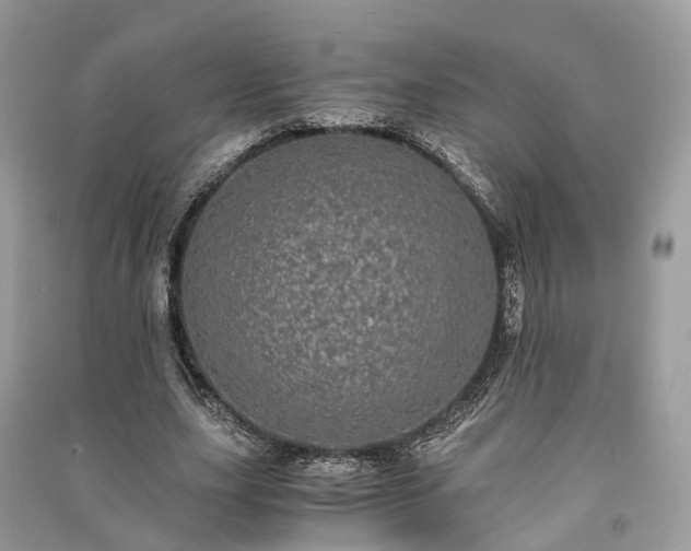 X0000090990631200708091519