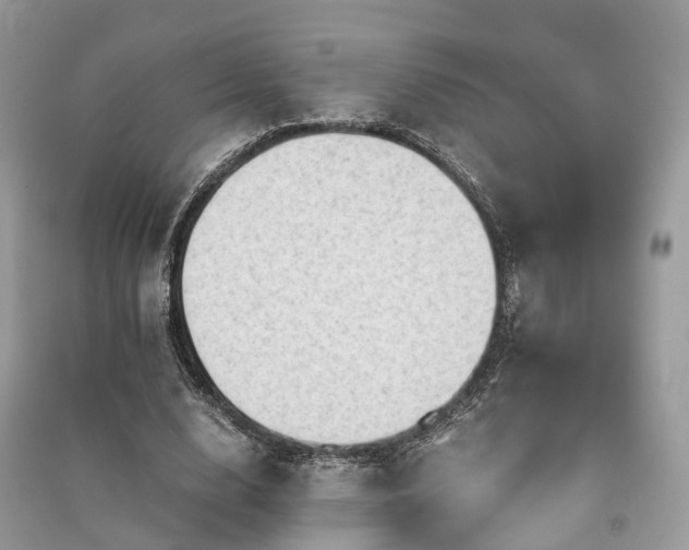 X0000090990632200708091519