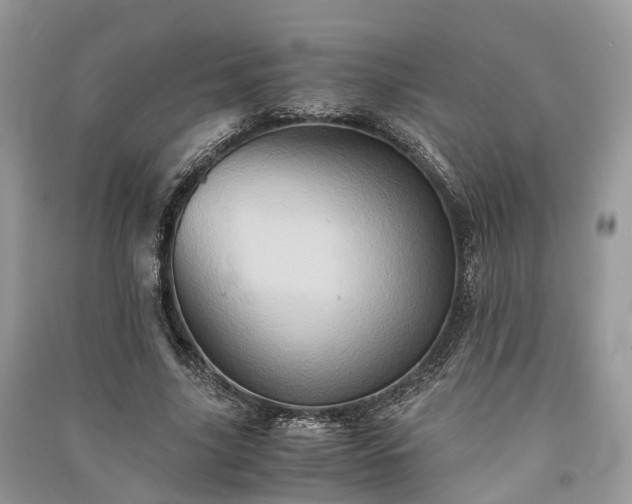 X0000090990635200708091519