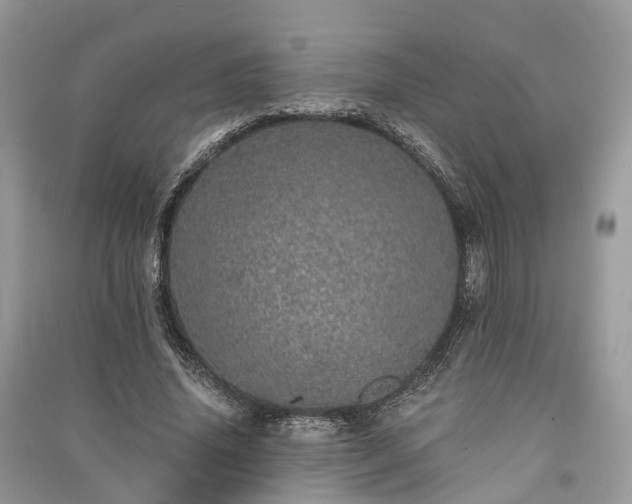 X0000090990636200708091519