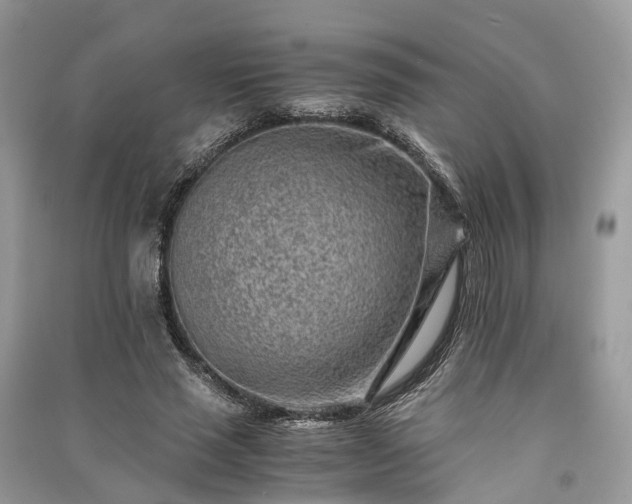 X0000090990637200708091519