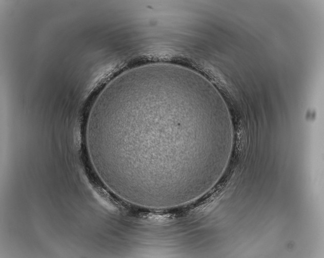 X0000090990638200708091519