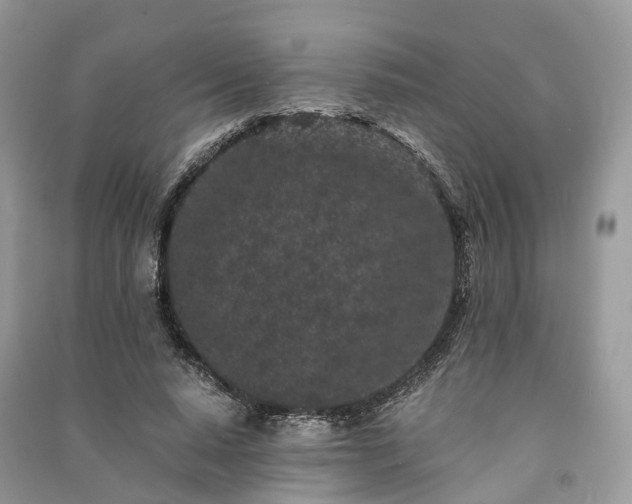 X0000090990640200708091519