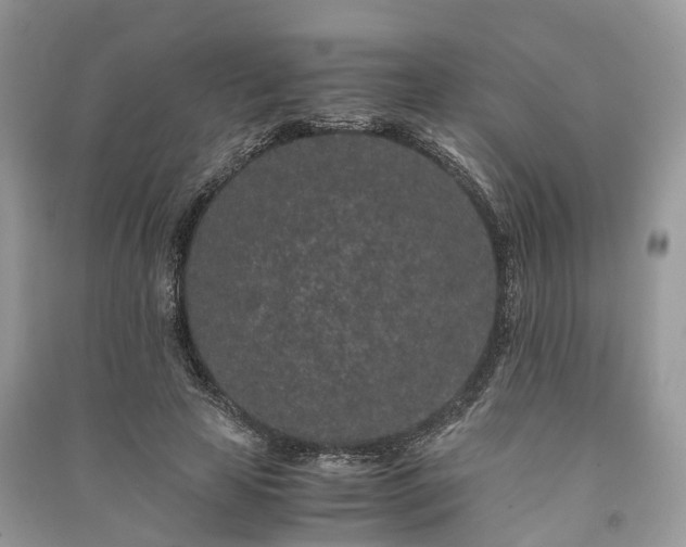 X0000090990641200708091519