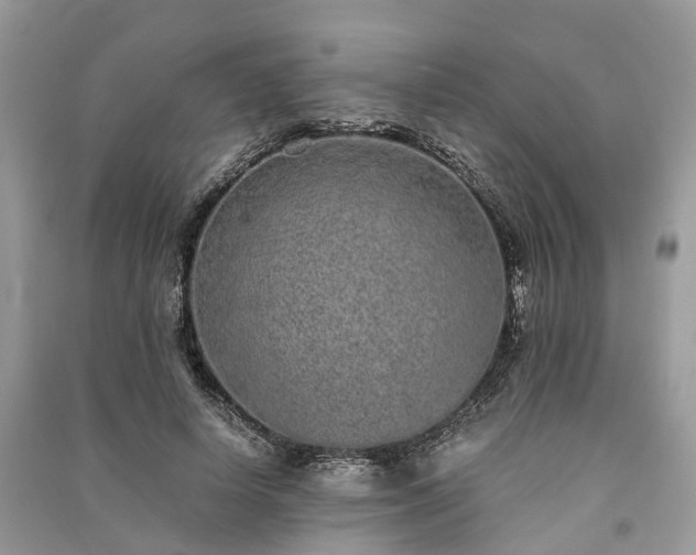 X0000090990642200708091519