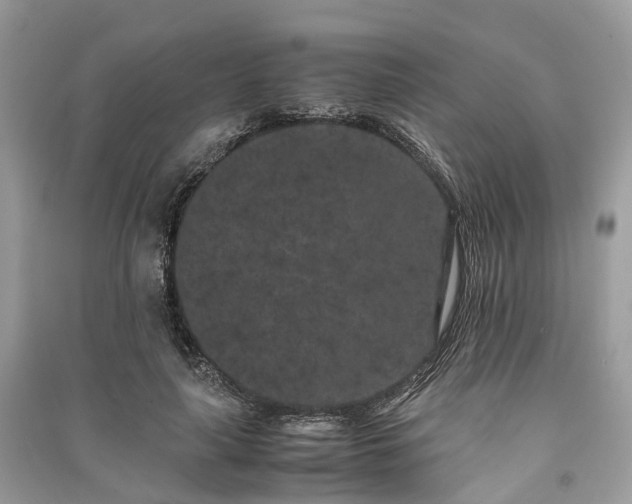 X0000090990643200708091519