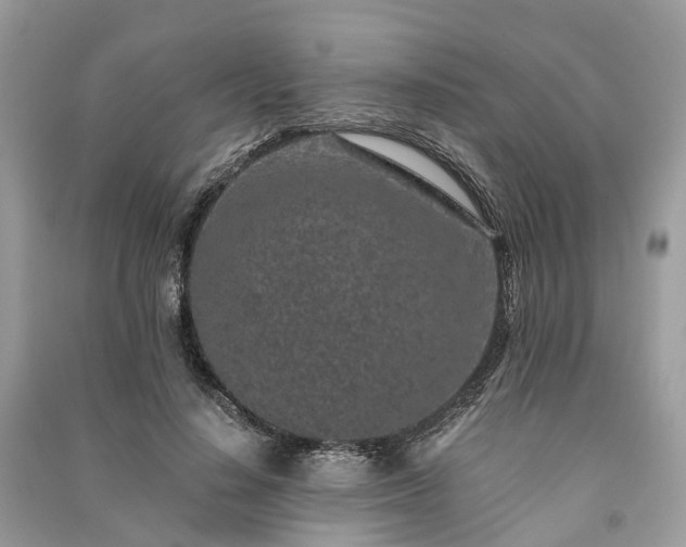 X0000090990644200708091519