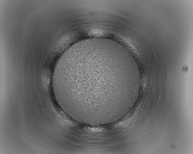 X0000090990645200708091519