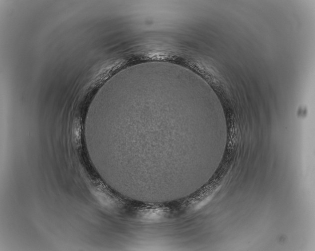 X0000090990646200708091519