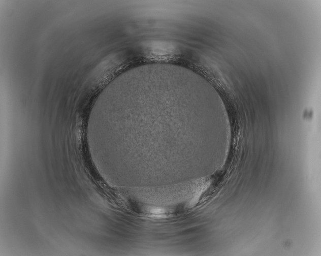 X0000090990647200708091520