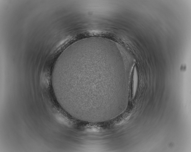 X0000090990648200708091520