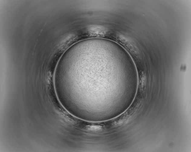 X0000090990649200708091520