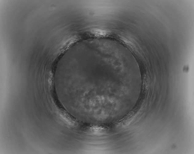 X0000090990650200708091520