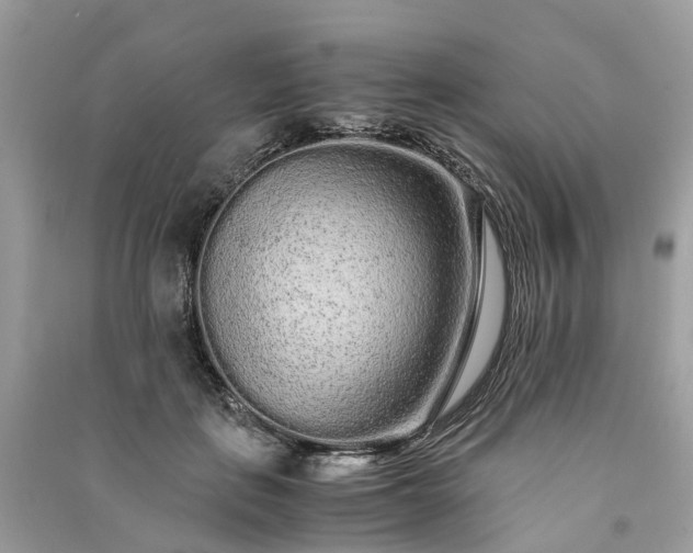 X0000090990651200708091520