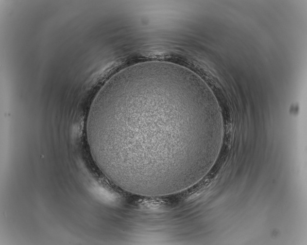 X0000090990652200708091520