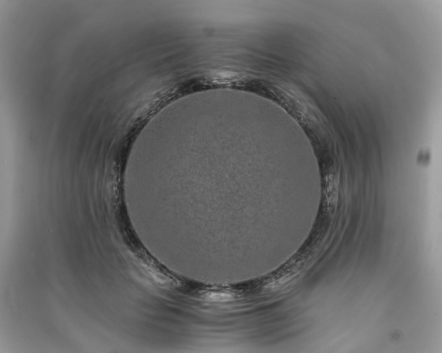 X0000090990653200708091520