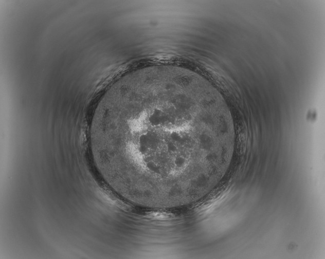 X0000090990654200708091520