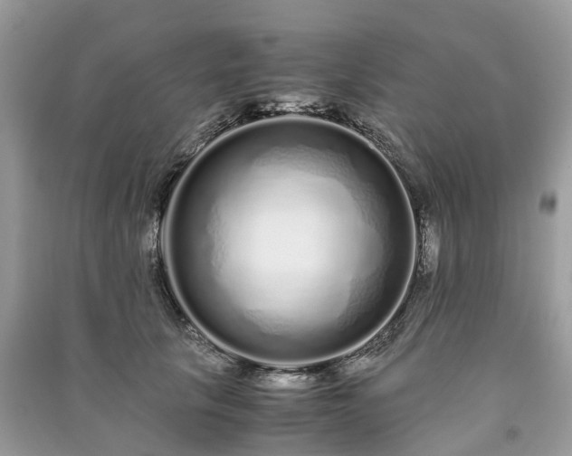 X0000090990657200708091520