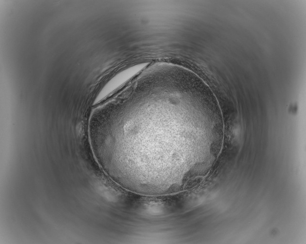 X0000090990658200708091520