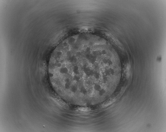 X0000090990659200708091520