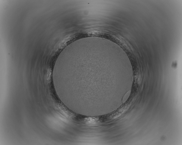 X0000090990660200708091520