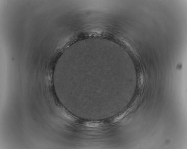 X0000090990661200708091520