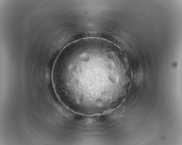 X0000090990662200708091520