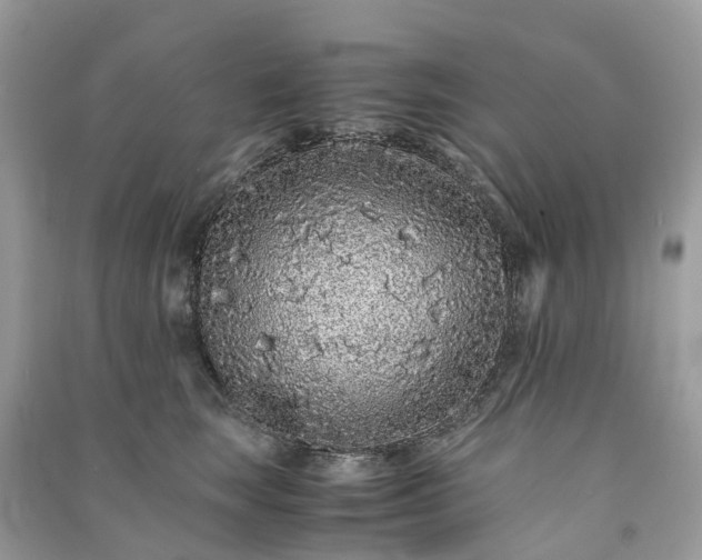 X0000090990663200708091520