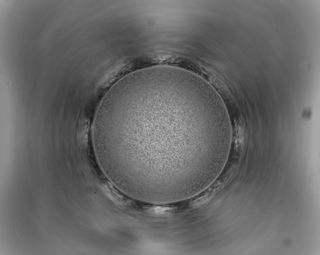 X0000090990664200708091520