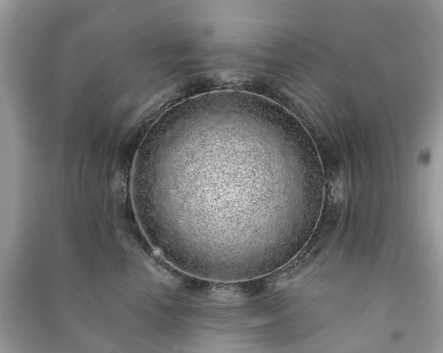 X0000090990666200708091520