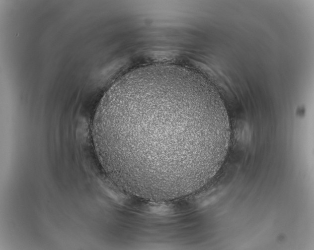 X0000090990667200708091520