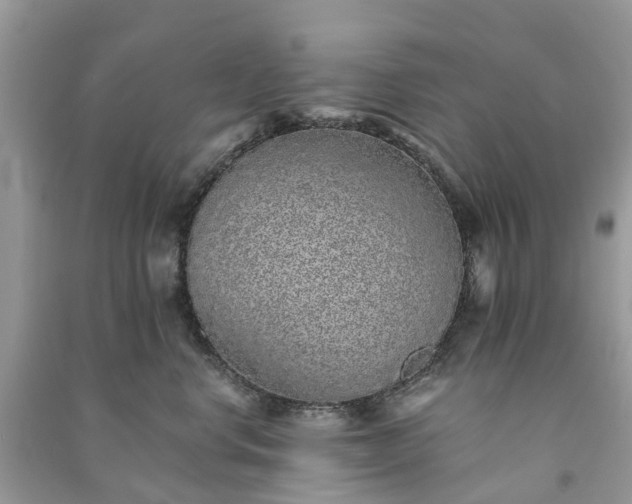 X0000090990668200708091520