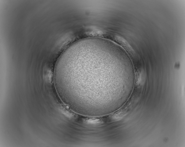 X0000090990669200708091520