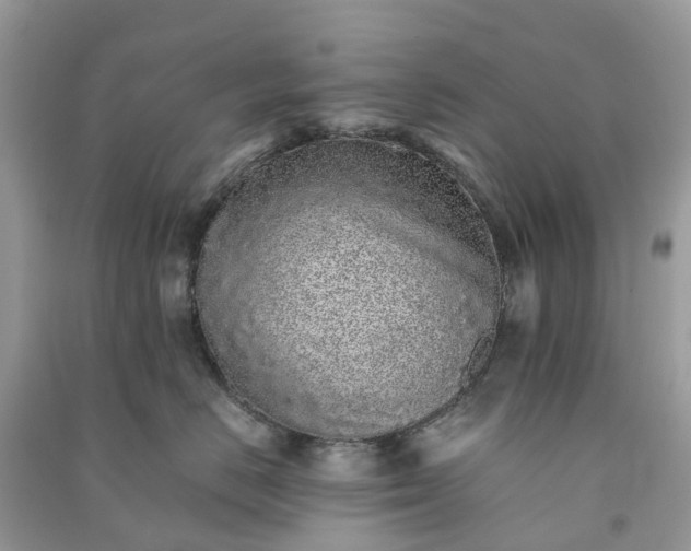 X0000090990670200708091520