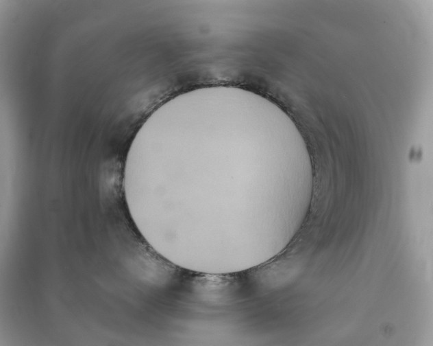 X0000090990672200708091520