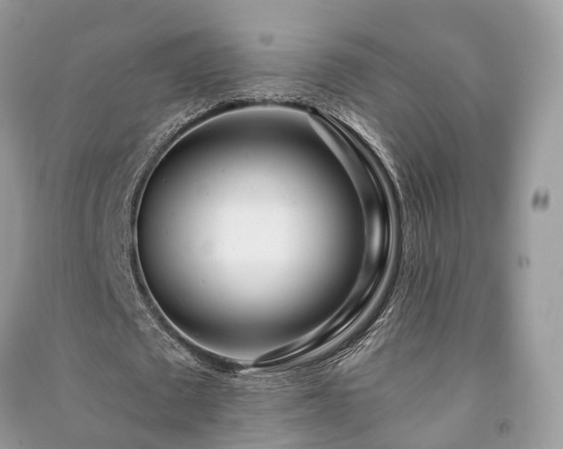 X0000090990673200708091519