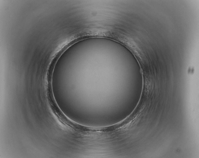 X0000090990674200708091519