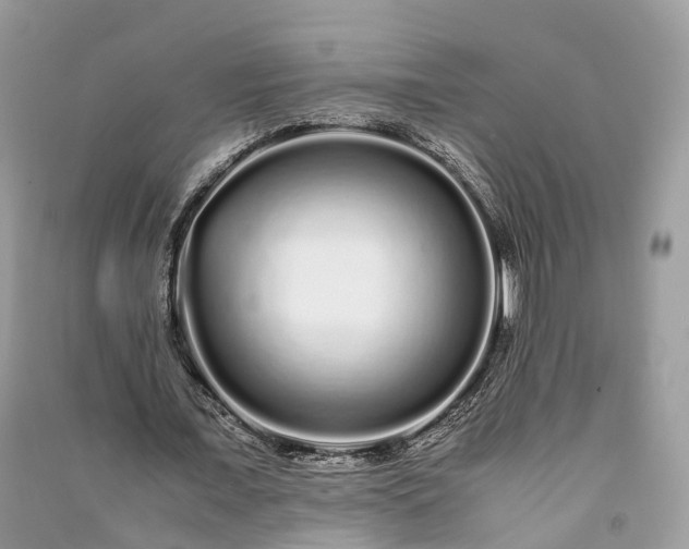 X0000090990675200708091519