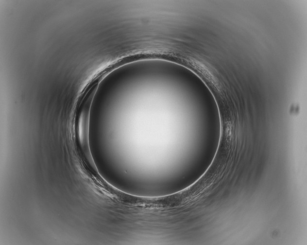 X0000090990676200708091519