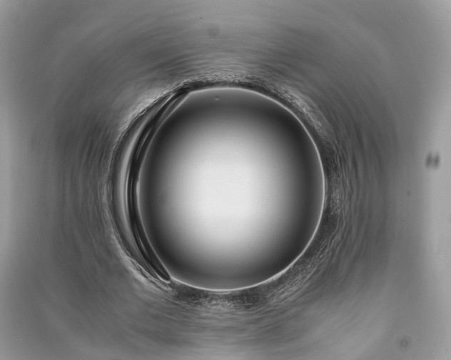 X0000090990677200708091519