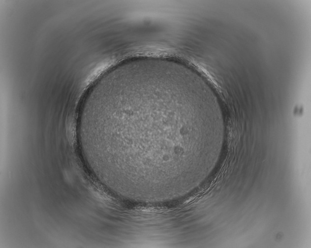 X0000090990679200708091519