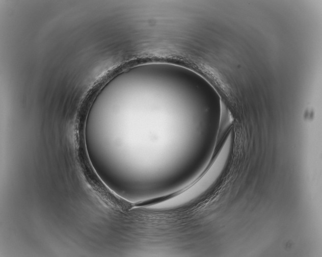 X0000090990680200708091519